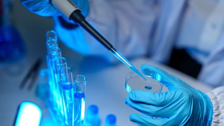 Des scientifiques alertent sur la grippe D et un risque potentiel pour l’homme