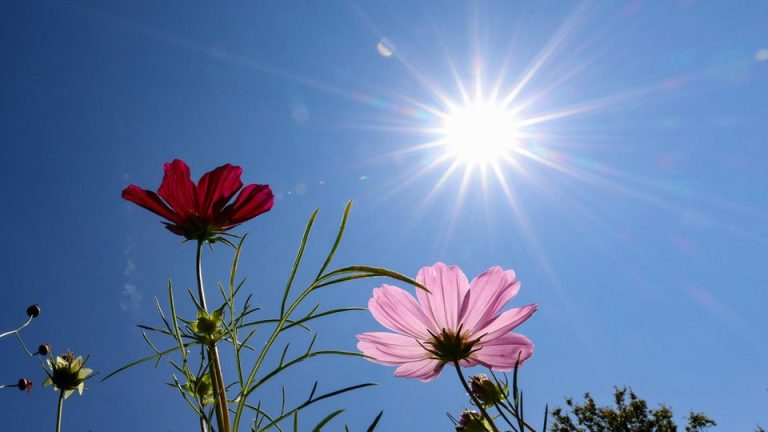 L’anticyclone des Açores annonce des journées ensoleillées au Maroc