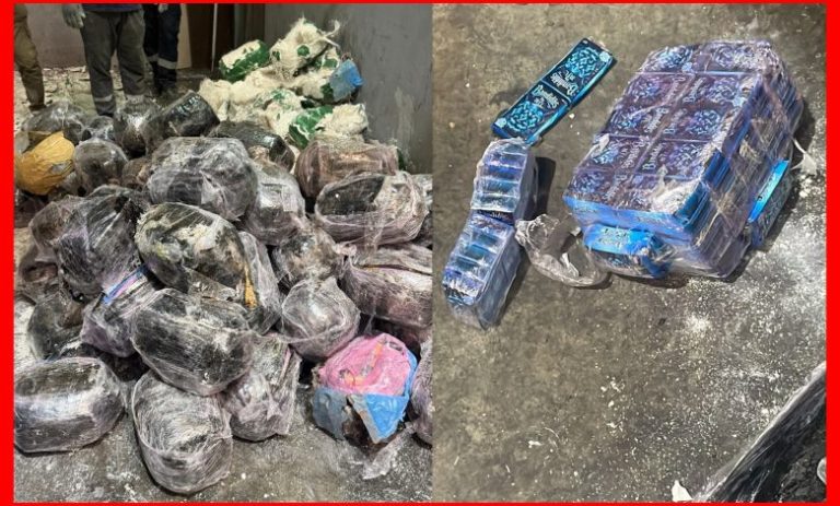 Port Tanger Med : saisie de 753 kilos de résine de cannabis dans un camion de transport international