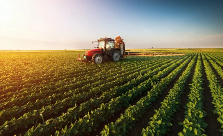 La reprise agricole propulse la croissance du Maroc à 4,8 % en 2026, avant un ralentissement attendu en 2027
